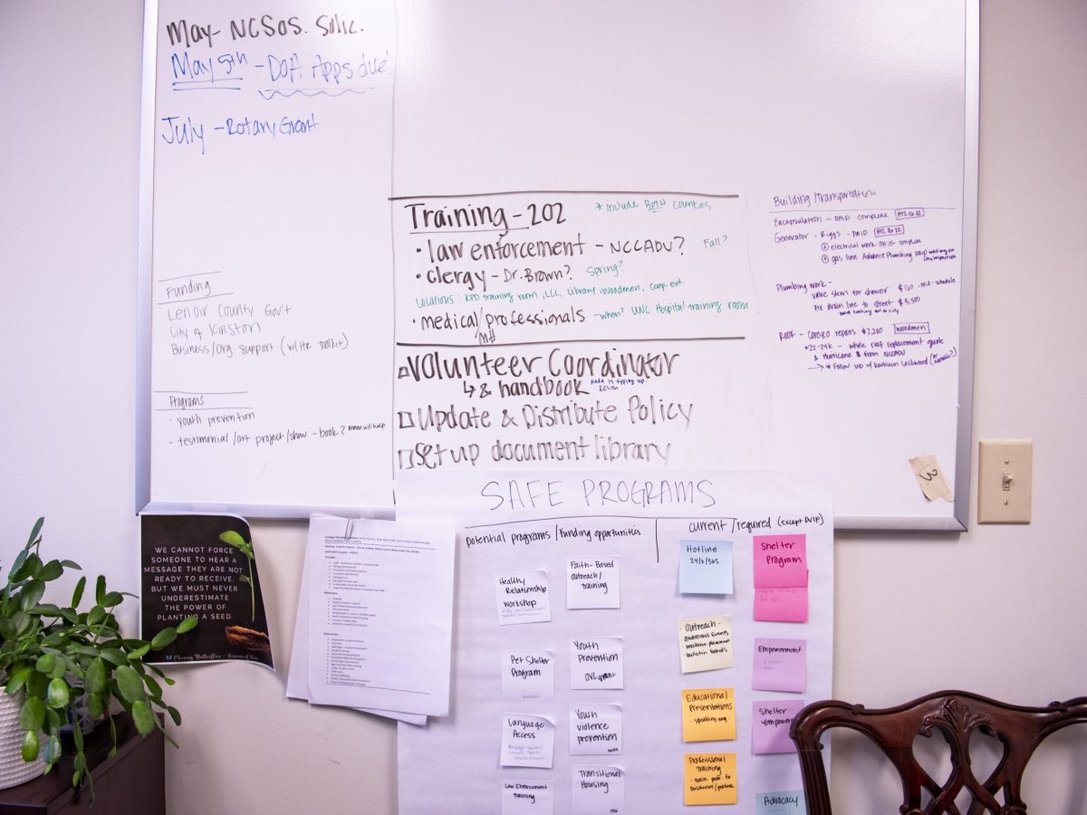 DOGE Cuts Come for N.C. Domestic Violence Orgs