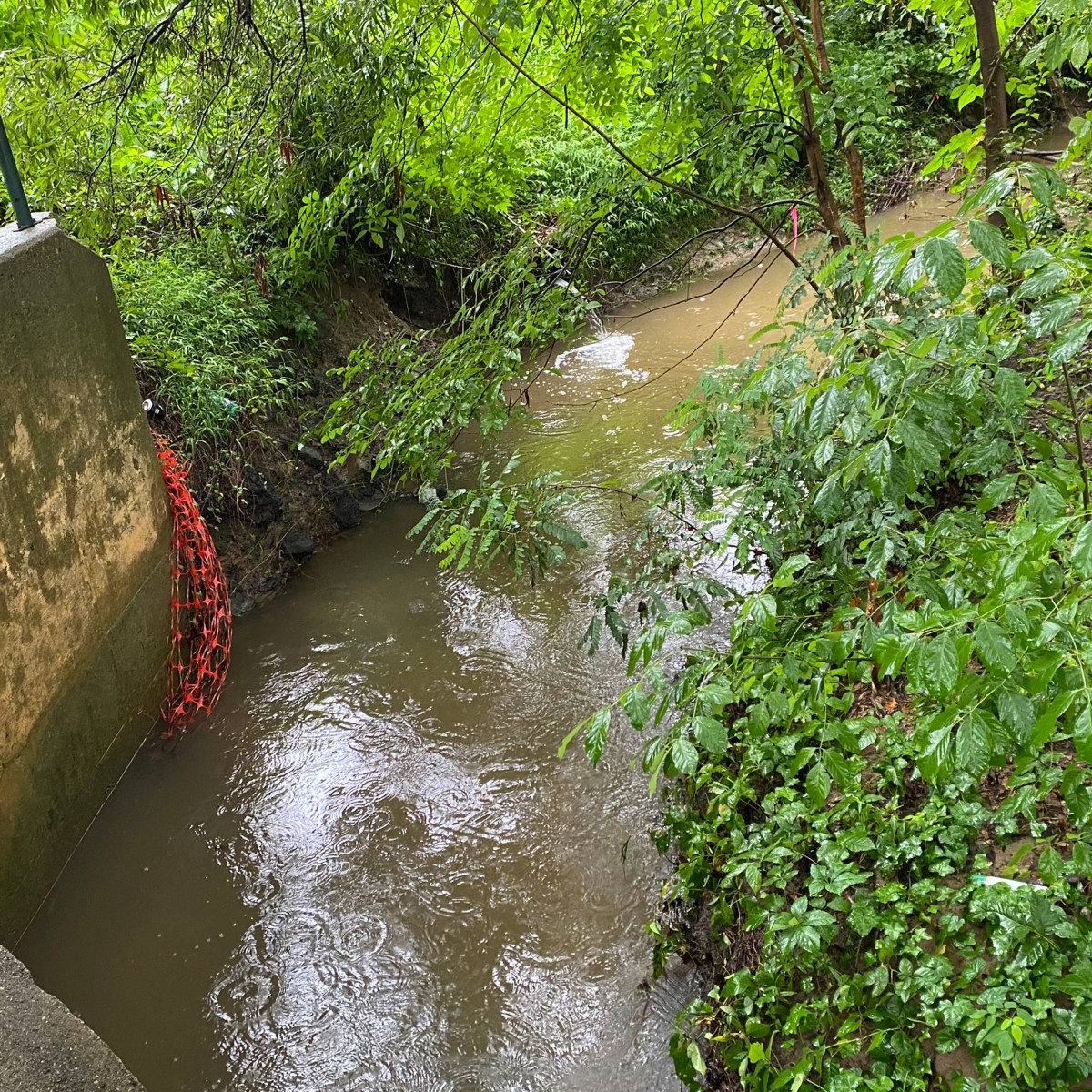 A Test for Trump’s EPA: A Creek That Smells Like Death
