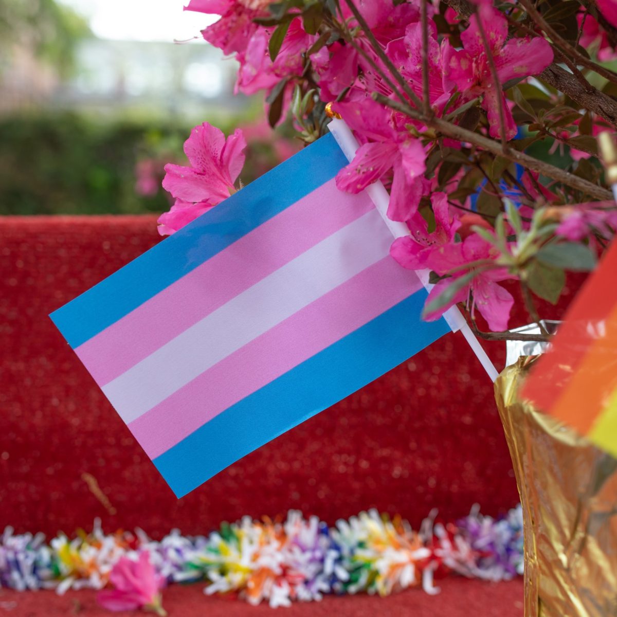 Democrats’ Dilemma on Trans Issues