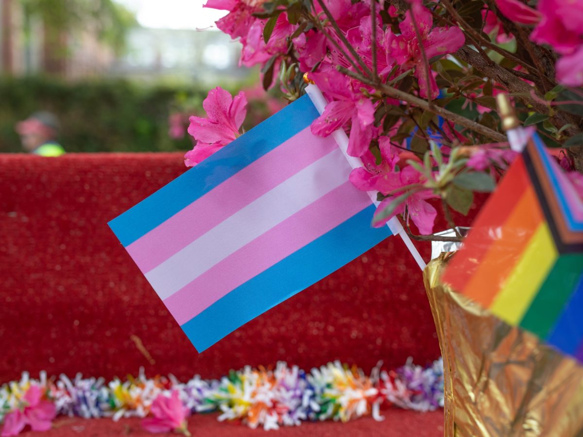 Democrats’ Dilemma on Trans Issues