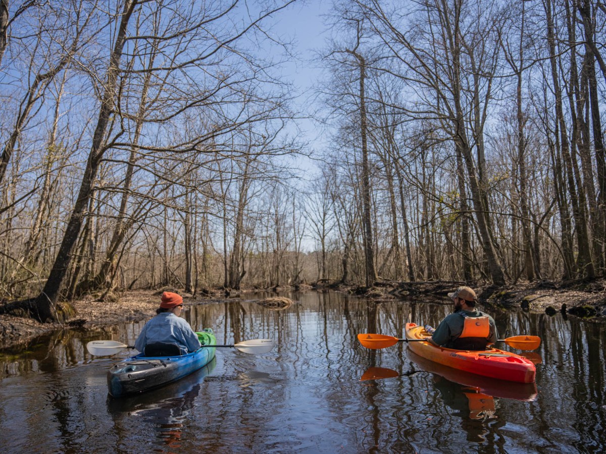 Rooted in the Land, Ready for the Future