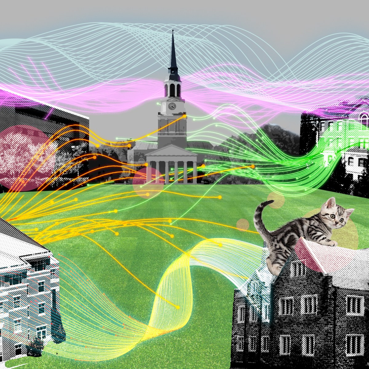 Higher Ed 2.0: N.C. Schools Tackle AI