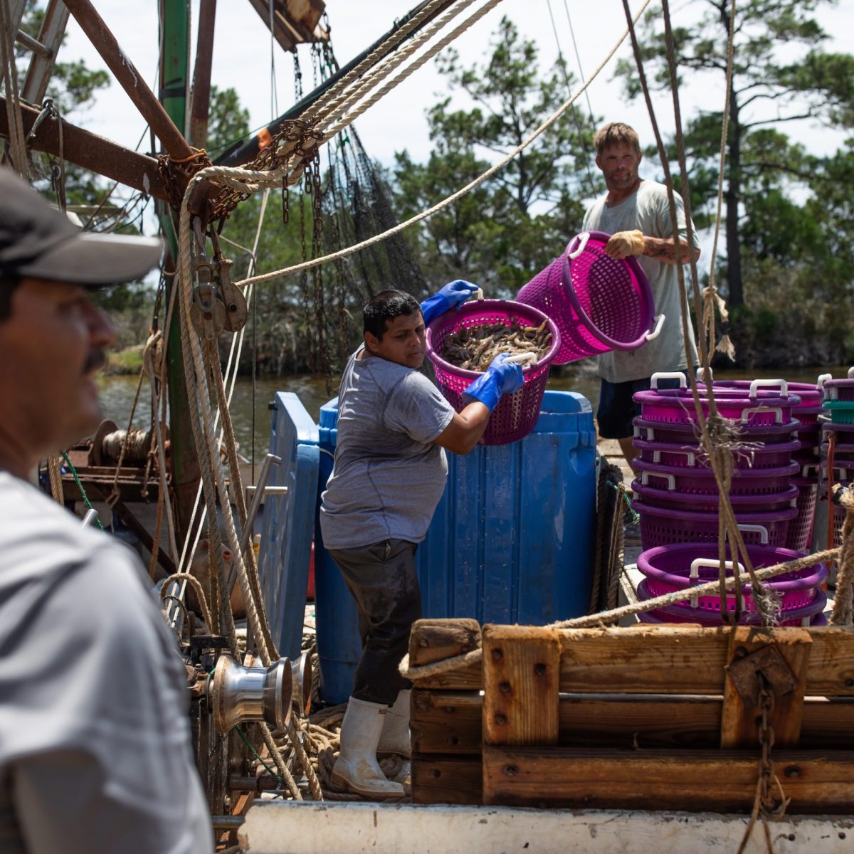 The Rapid Rise and Fall of N.C.’s Proposed Shrimp Trawl Ban
