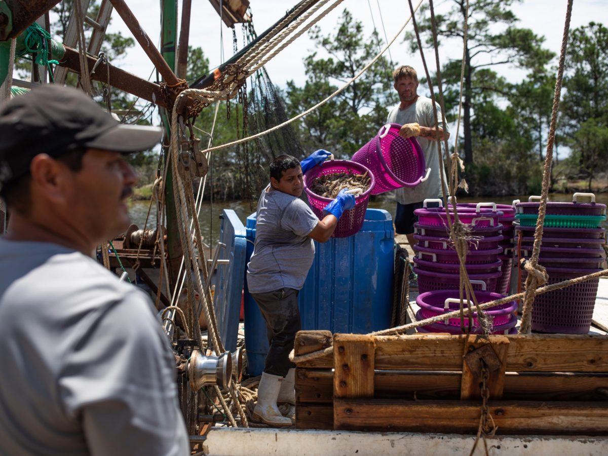 The Rapid Rise and Fall of N.C.’s Proposed Shrimp Trawl Ban